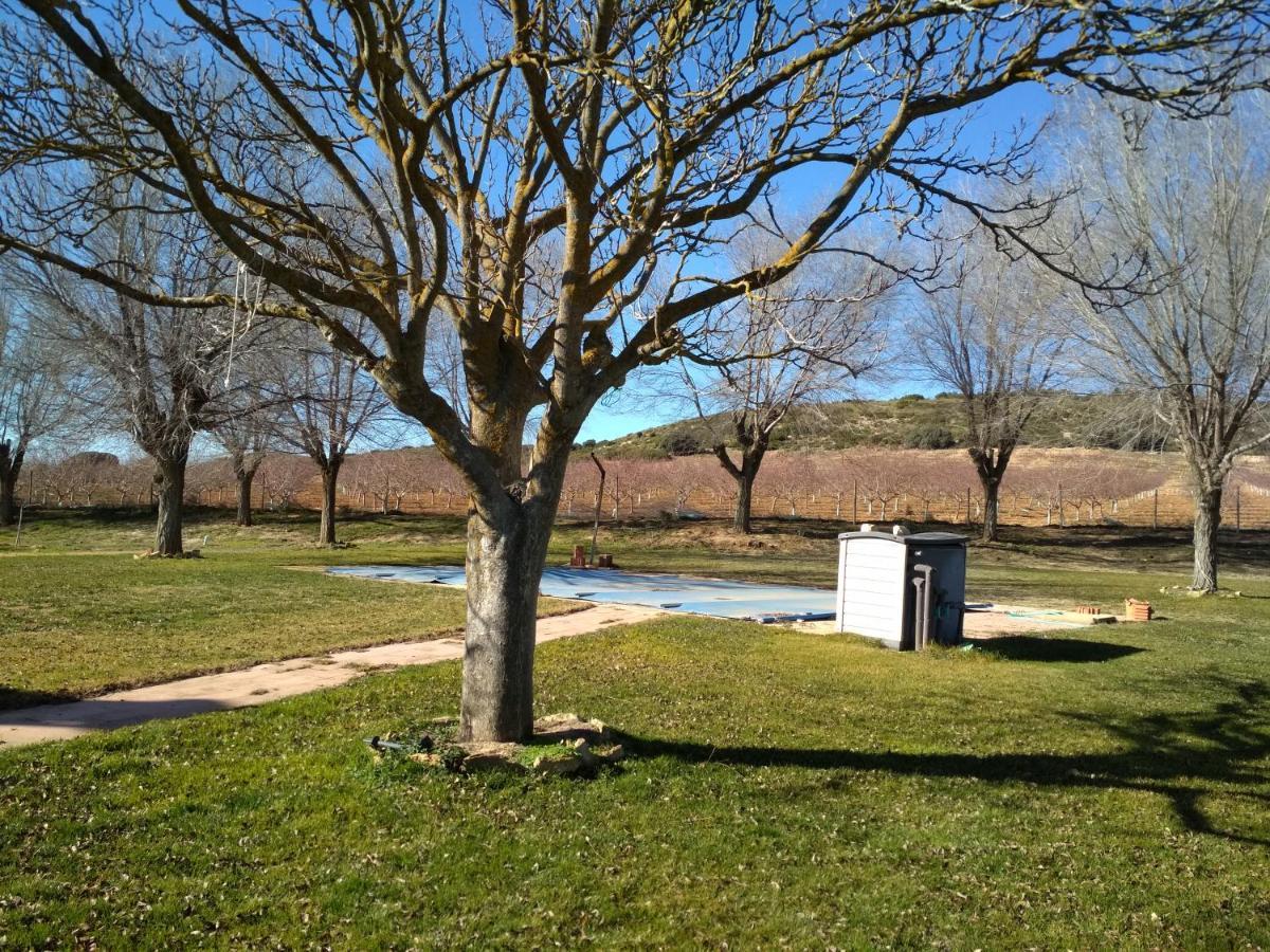 Casa Rural La Galana Albacete Чинчилья-де-Монте-Арагон Екстер'єр фото