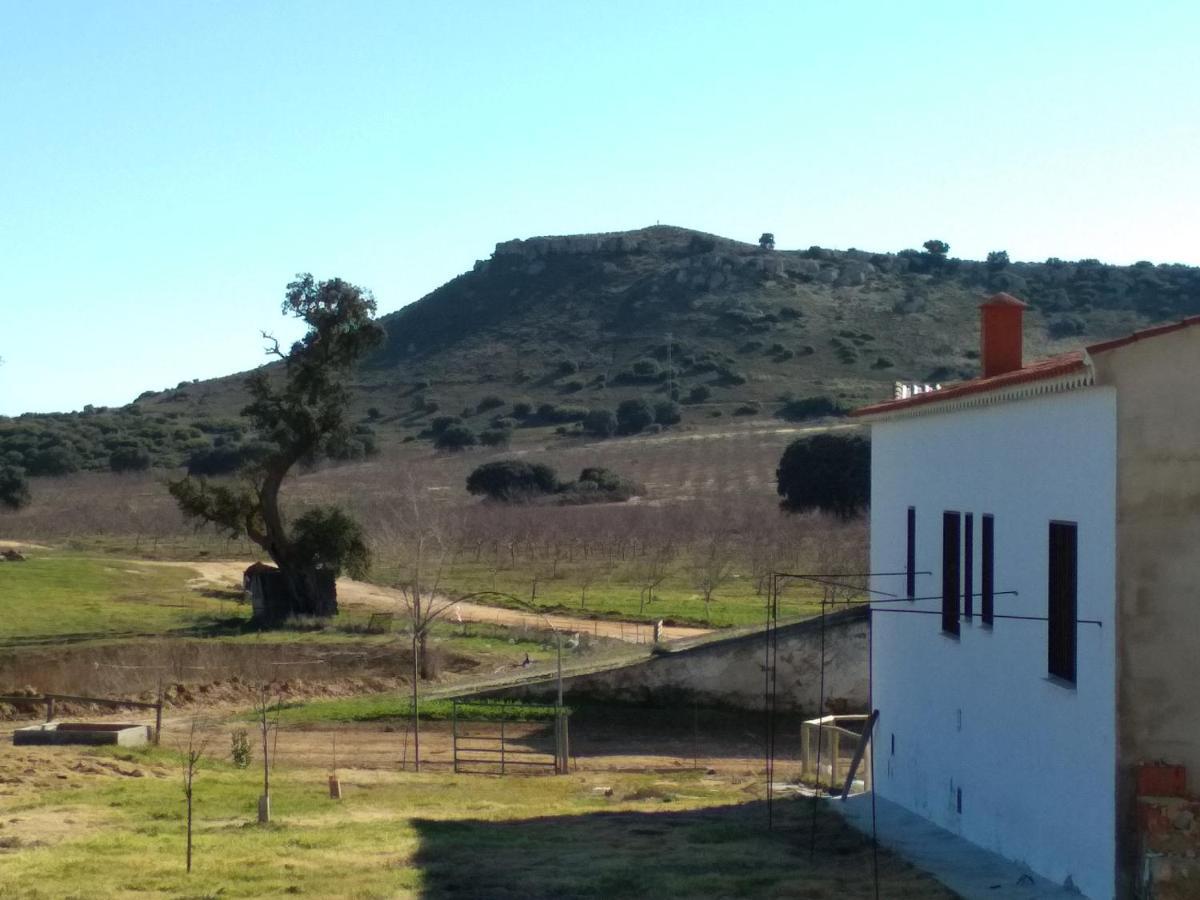 Casa Rural La Galana Albacete Чинчилья-де-Монте-Арагон Екстер'єр фото