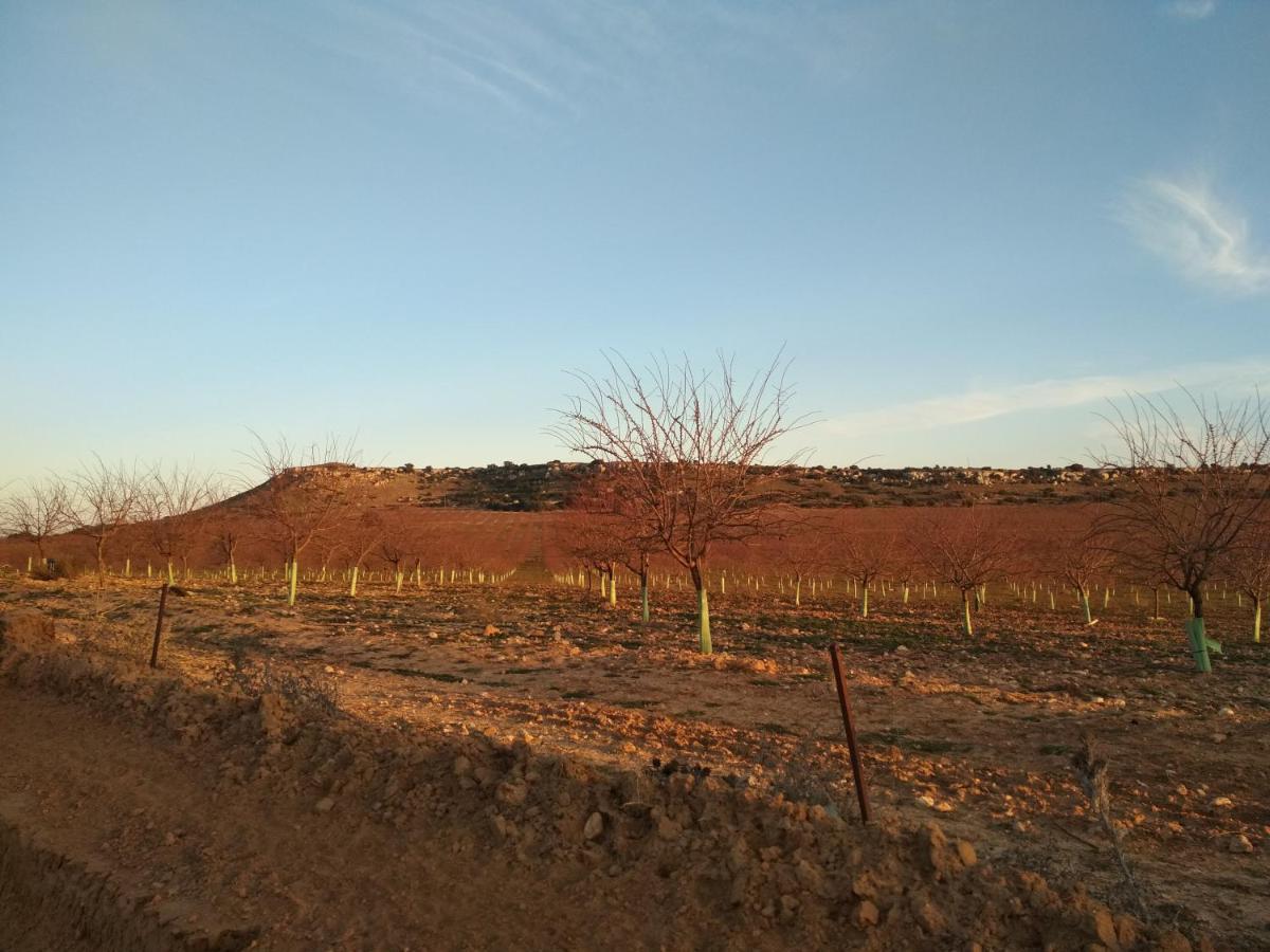 Casa Rural La Galana Albacete Чинчилья-де-Монте-Арагон Екстер'єр фото