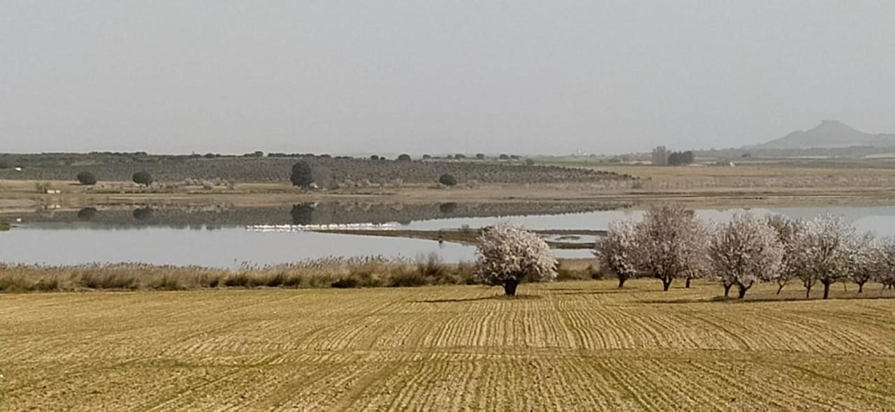 Casa Rural La Galana Albacete Чинчилья-де-Монте-Арагон Екстер'єр фото