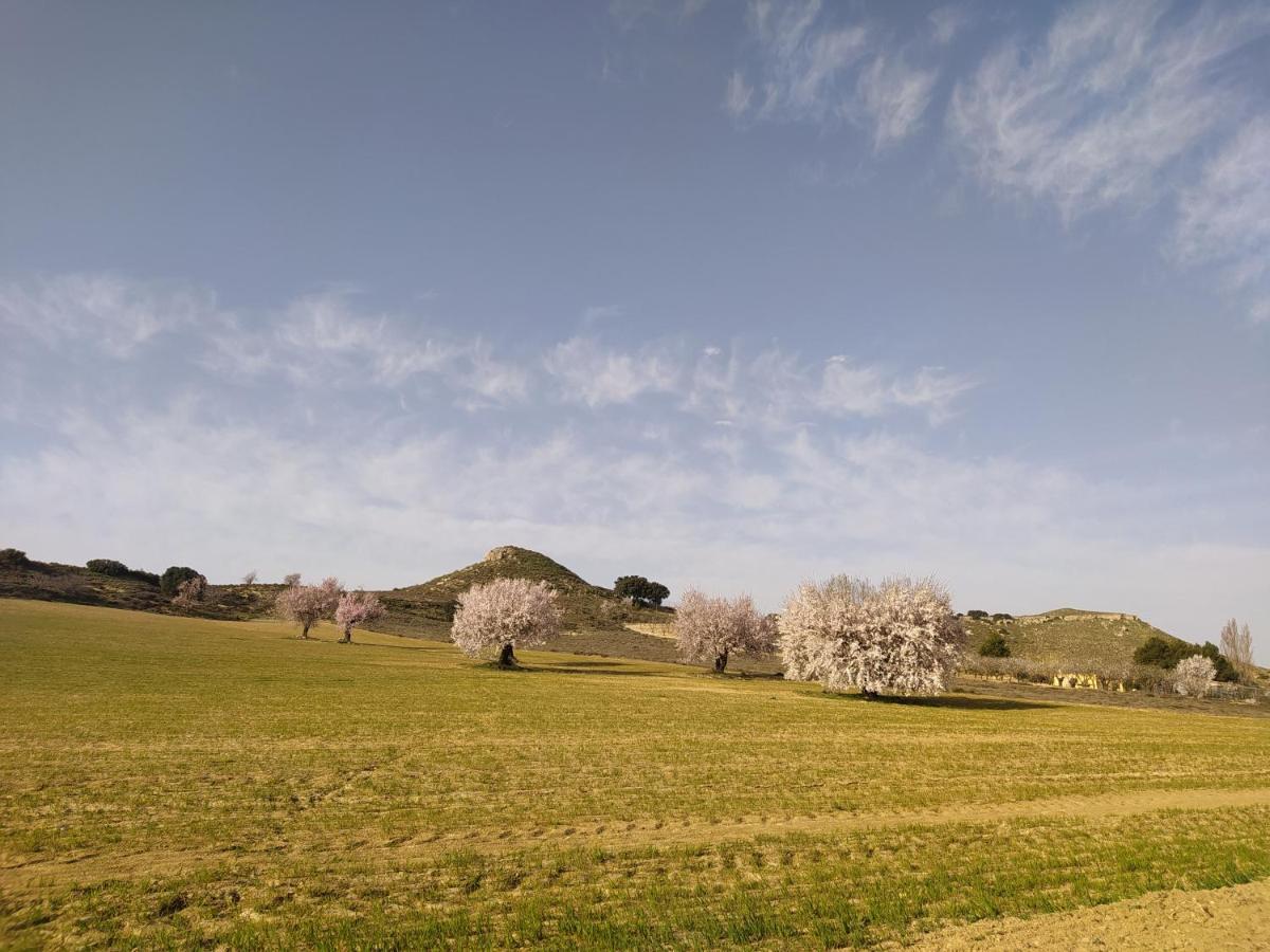 Casa Rural La Galana Albacete Чинчилья-де-Монте-Арагон Екстер'єр фото